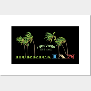 Hurricane Ian Posters and Art